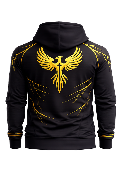 ALTER Ascension Training Hoodie