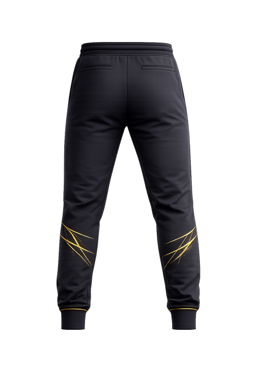 ALTER Ascension Training Pants